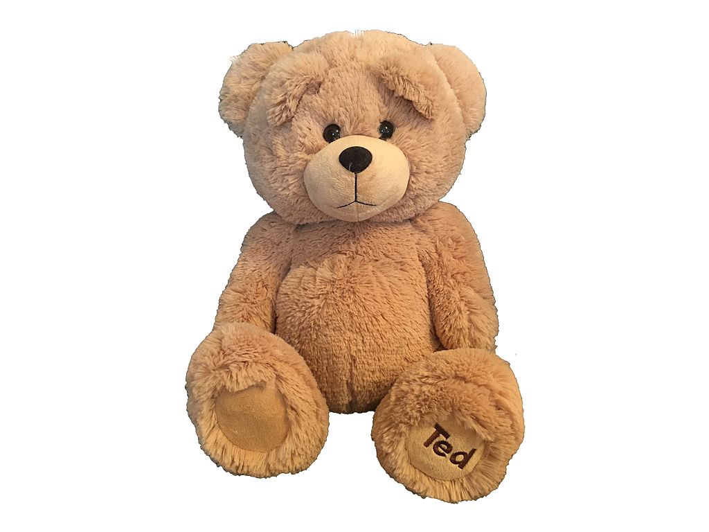 nounours ted